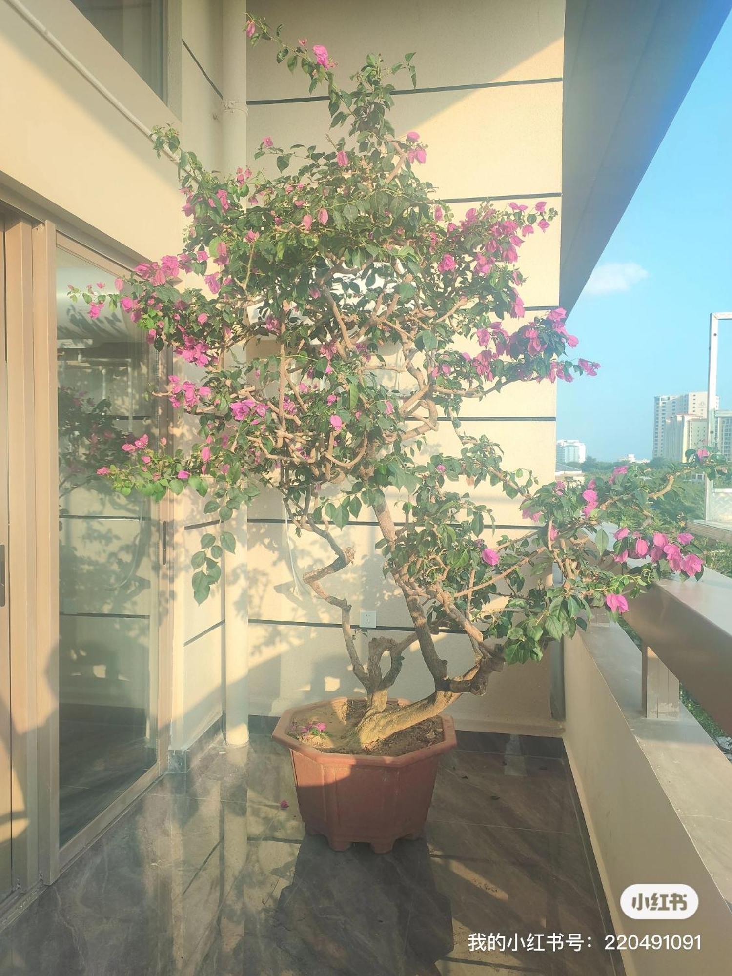 Apartmán Shiguanghui San-ja Exteriér fotografie